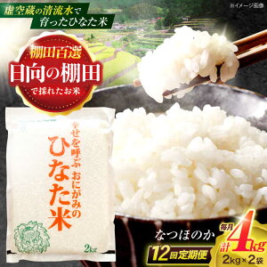 yӂ邳Ɣ[Łzy12ցz󑠂̐ňIcāwЂȂāx 4kg(2kg×2) y؏ꒆRԊǗgz[OCM016]