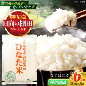 yӂ邳Ɣ[Łzy4ցz󑠂̐ňIcāwЂȂāx 6kg(2kg×3) y؏ꒆRԊǗgz[OCM020]