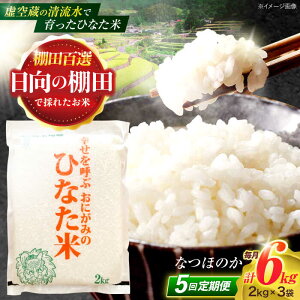 yӂ邳Ɣ[Łzy5ցz󑠂̐ňIcāwЂȂāx 6kg(2kg×3) y؏ꒆRԊǗgz[OCM021]