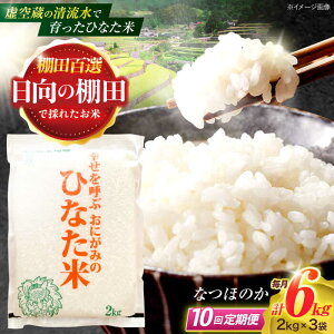 yӂ邳Ɣ[Łzy10ցz󑠂̐ňIcāwЂȂāx 6kg(2kg×3) y؏ꒆRԊǗgz[OCM023]