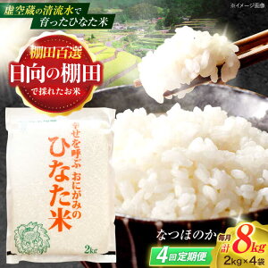 yӂ邳Ɣ[Łzy4ցz󑠂̐ňIcāwЂȂāx 8kg(2kg×4) y؏ꒆRԊǗgz[OCM028]