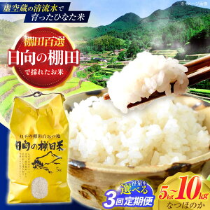 yӂ邳Ɣ[ŁzeʑIׂIy3ցz󑠂̐ňIcāwЂȂāx 5kgE10kg y؏ꒆRԊǗgz[OCM043]