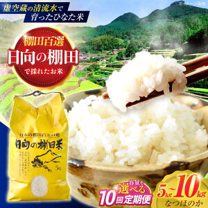 yӂ邳Ɣ[ŁzeʑIׂIy10ցz󑠂̐ňIcāwЂȂāx 5kgE10kg y؏ꒆRԊǗgz[OCM047]