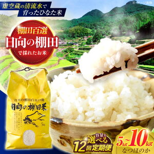 yӂ邳Ɣ[ŁzeʑIׂIy12ցz󑠂̐ňIcāwЂȂāx 5kgE10kg y؏ꒆRԊǗgz[OCM048]