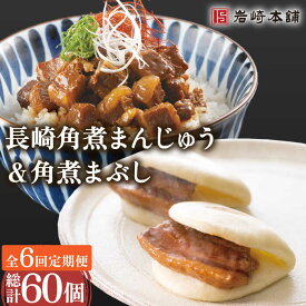 【ふるさと納税】【6回定期便】角煮 まんじゅう ＆ 角煮 まぶし 各5個（計10個）を6回お届け！(総計60個) / 角煮まん 角煮 肉まん ギフト 肉 豚 グルメ ギフト おやつ おつまみ おかず 取り寄せ 贈答用 中華料理 ご飯 お供【株式会社岩崎食品】 [OCT011]