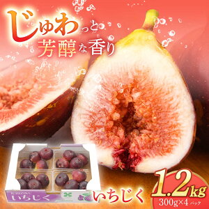 yӂ邳Ɣ[Łzys\z 1.2kgi300g×4pbNjycFARMz [OCU004] / ① t[c ԉ C`WN tBO ϔ p  ʕ W   
