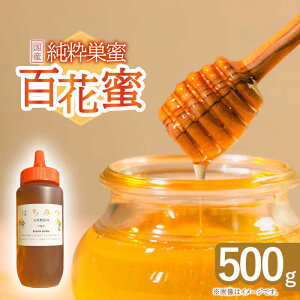 yӂ邳Ɣ[Łz݂͂ SԖ 500gyX{Iz[OCY001] / I Y Ƃ񂪂e  茧 Yn n`~c nj[ H R[q[ XC[c   ȒPۑ 퉷  I 