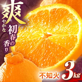 【ふるさと納税】【数量限定】不知火(しらぬい) 袋掛け 3kg【おだ農園】[OAG004] / しらぬい オレンジ ミカン 蜜柑 フルーツ 果物 甘い 数量限定 長崎県産 柑橘 デザート
