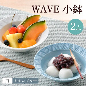 yӂ邳Ɣ[ŁzygāzWAVE 2ZbgiEgRu[jy^qz [BB62]