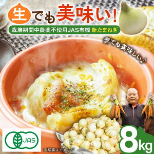 yӂ邳Ɣ[Łzy2026N4菇zys\zJASF L@͔| Vʂ˂ 8kgySΉz [DA04]