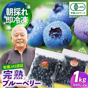 yӂ邳Ɣ[ŁzyL@JASF؁zL@u[x[ Ⓚ 1kg(500g×2) Y ySΉz[DA31]