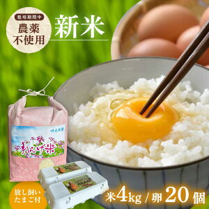 yӂ邳Ɣ[Łzߘa7Nx4kgE܂20Zbg qmqJ񂰕 C܂ycRmz[EA19]