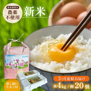 yӂ邳Ɣ[ŁzyS3ցzߘa7Nx4kgE܂20Zbg qmqJ񂰕 C܂ycRmz[EA20]