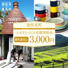【ふるさと納税】【返礼品なし】長崎県波佐見町 ふるさとづくり応援寄附金（3,000円分） [FB71]