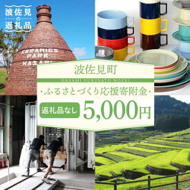 【ふるさと納税】【返礼品なし】長崎県波佐見町 ふるさとづくり応援寄附金（5,000円分） [FB73]