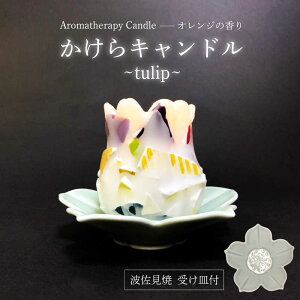 yӂ邳Ɣ[ŁzygāzLh~tulip~ A}LhiIWjg Lh 󂯎M Zbg@ycꏤXz[FF04]