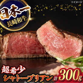 【ふるさと納税】【極上の赤身肉】シャトーブリアン ステーキ 長崎和牛 計300g以上 （約150g×2枚）【肉のマルシン】 [FG08] 和牛 牛肉 赤身 ヒレ ステーキ 焼肉