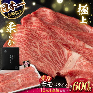 yӂ邳Ɣ[Łzy12ցzy萶YzXCX a o΂炢i600g/jỹ}Vz [FG22] a   XCX Ԑg  Ԃ ~ Ă