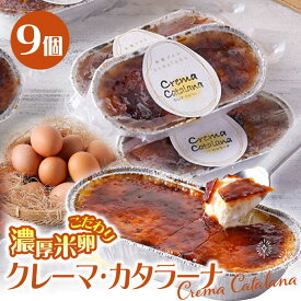 【ふるさと納税】【こだわり濃厚米卵！】クレーマ・カタラーナ セット 9個 デザート スイーツ お菓子 アイス ギフト クレームブリュレ カタラーナ 【氷窯アイス こめたま】 [GF01] あいす