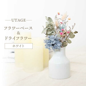 yӂ邳Ɣ[ŁzygāzUTAGE t[x[XizCgjhCt[ Zbg yqz [JC139]