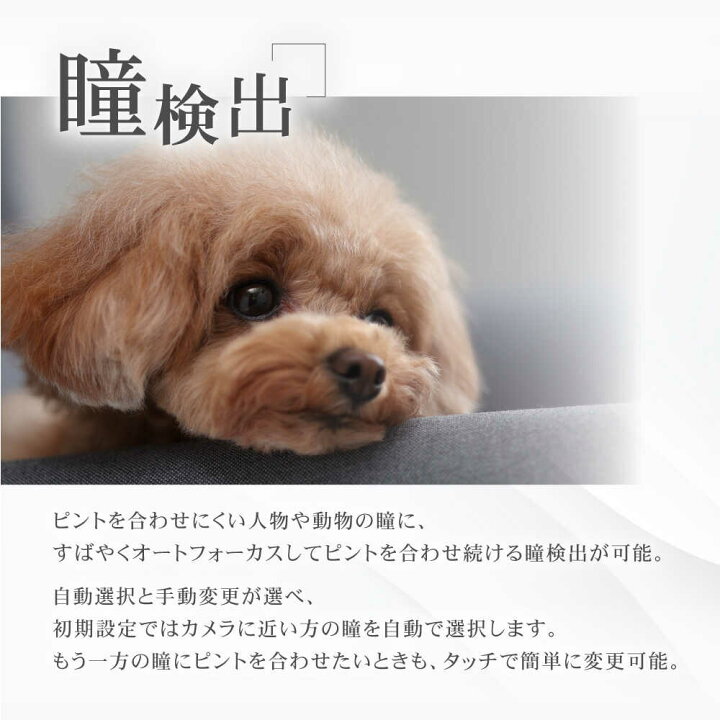 楽天市場】【ふるさと納税】【Canon】EOS R10 レンズキット ミラーレス 