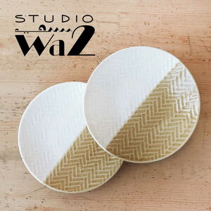 yӂ邳Ɣ[ŁzygāzAMIME 5M 2_Zbgystudio waniz[MB70]