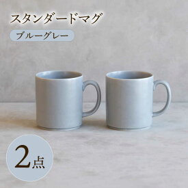 【ふるさと納税】【波佐見焼】 スタンダードマグ ブルーグレー 2点セット 【西海陶器】[OA403]
