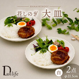 【ふるさと納税】【波佐見焼】花しのぎ 大皿 ペア 白【団陶器】[PB190]