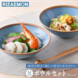 【ふるさと納税】【波佐見焼】テラコッタ BLUE ボウル （M） ペアセット 皿 食器 中鉢【利左エ門窯】 [QB55]