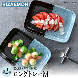 【ふるさと納税】【感謝祭対象】【波佐見焼】KAKE・WAKE（荒）ロングトレー M ペア 食器 皿 プレート 角皿【利左エ門窯】 [QB61]