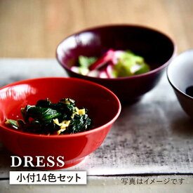 【ふるさと納税】【波佐見焼】料理を引き立たせる 小付 14色セット 食器 皿 【DRESS】 [SD33]