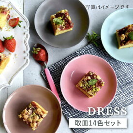 【ふるさと納税】【波佐見焼】料理を引き立たせる 取皿 14色セット 食器 皿 【DRESS】 [SD34]