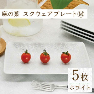 yӂ邳Ɣ[Łzygāz̗tzCg XNEFA v[g MTCY 5 Zbgyhz[TG15]