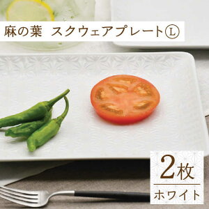 yӂ邳Ɣ[Łzygāz̗tzCg XNEFA v[g LTCY 2 Zbgyhz[TG17]