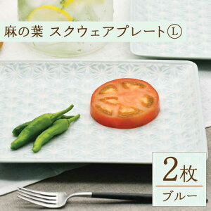 yӂ邳Ɣ[Łzygāz̗tu[ XNEFA v[g LTCY 2 Zbgyhz[TG18]