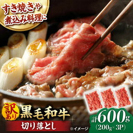【ふるさと納税】【訳あり】 切り落とし 600g (200g×3P) 長崎和牛 黒毛和牛 【夢ファームシュシュ】 [WF07] 牛肉 和牛 赤身 小分け