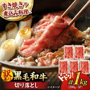 yӂ邳Ɣ[Łzy󂠂z ؂藎Ƃ 1.0kg (200g×5) a јa yt@[VVz[WF20] a   Ԑg ؂藎Ƃ  J[ Ă