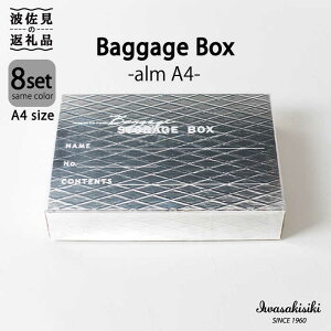 yӂ邳Ɣ[Łz[ X^bLO A4 Baggage Box alm A~ CeA y⛽z [ZA30]