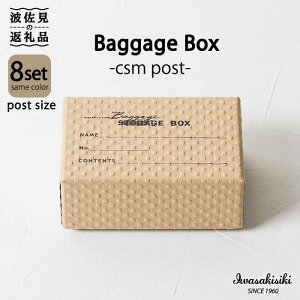 yӂ邳Ɣ[Łz[ X^bLO |XgJ[hTCY Baggage Box csm G{X CeAy⛽z [ZA33]