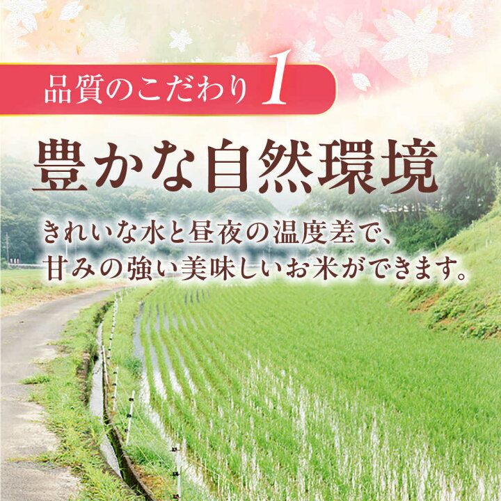 楽天市場】【ふるさと納税】【令和7年度米】【全6回定期便】なつほのか 