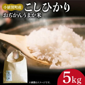 【ふるさと納税】【令和7年度産】【5kg】 米 お米 おぢかんうまか米（小値賀町産こしひかり 5kg ・精白米） [DAB014] 長崎 五島列島 小値賀 国産 コシヒカリ こしひかり 米 お米 白米 ご飯 精米 お弁当 常温