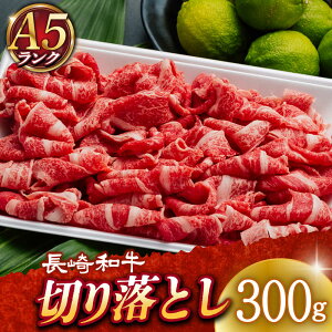 yӂ邳Ɣ[ŁzyA5Nz a ؂藎Ƃ300g sl꒬tyLГ̑z [DAR049]