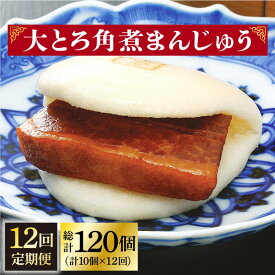 【ふるさと納税】【全12回定期便】 長崎 大とろ角煮まんじゅう 10個 ＜岩崎本舗＞ [DBG045] 角煮まん 角煮 豚角煮 簡単 惣菜 冷凍 おやつ 中華