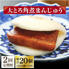 【ふるさと納税】【2回定期便】大とろ角煮まんじゅう 10個入 ≪小値賀町≫【岩崎本舗】角煮まん 角煮 豚角煮 簡単 惣菜 冷凍 おやつ 中華 長崎 [DBG056]