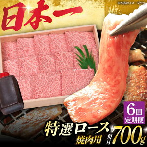 yӂ邳Ɣ[Łzy6ցz I[X ē Ɍ a A5N 700gsl꒬ty OGAWAz[DBJ013] [X [X [ a јa a A5  Ă ē
