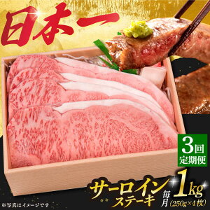 yӂ邳Ɣ[Łzy3ցz I T[CXe[L a A5N 4 v1kg sl꒬ty OGAWAz[DBJ015]  a јa a T[C Xe[L A5 ґ BBQ 