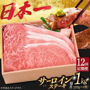 yӂ邳Ɣ[Łzy12ցz I T[CXe[L a A5N 4 v1kg sl꒬ty OGAWAz[DBJ017] T[CXe[L T[C Xe[L aXe[L a 