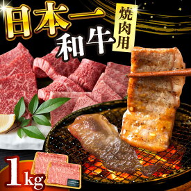 【ふるさと納税】【A4〜A5】長崎和牛 焼肉用 1kg(500g×2)【株式会社 MEAT PLUS】[DBS002] 焼肉用 焼肉 焼き肉 やきにく 和牛 牛肉 国産 国産和牛 贈答 ギフト