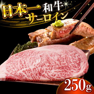 yӂ邳Ɣ[ŁzyA4`A5za T[CXe[L 250gi250g×1jy MEAT PLUSz[DBS013] T[C [낢 Xe[L a  Y lC 