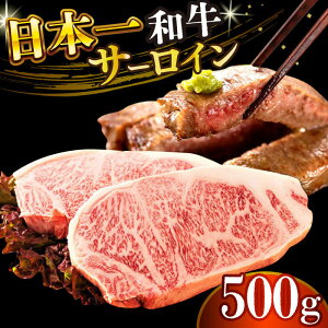 yӂ邳Ɣ[ŁzyA4`A5zaT[CXe[LZbg@500gi250g×2jy MEAT PLUSz[DBS014] T[CXe[L T[C [낢 aT[C Xe[L Y Y